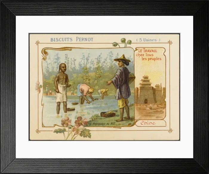 Framed Print : China - Rice Planting Framed Print : China - Rice Planting
