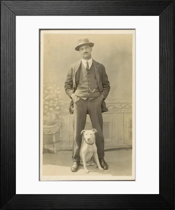 Framed Print : Self Satisfied Man Dog Framed Print : Self Satisfied Man Dog