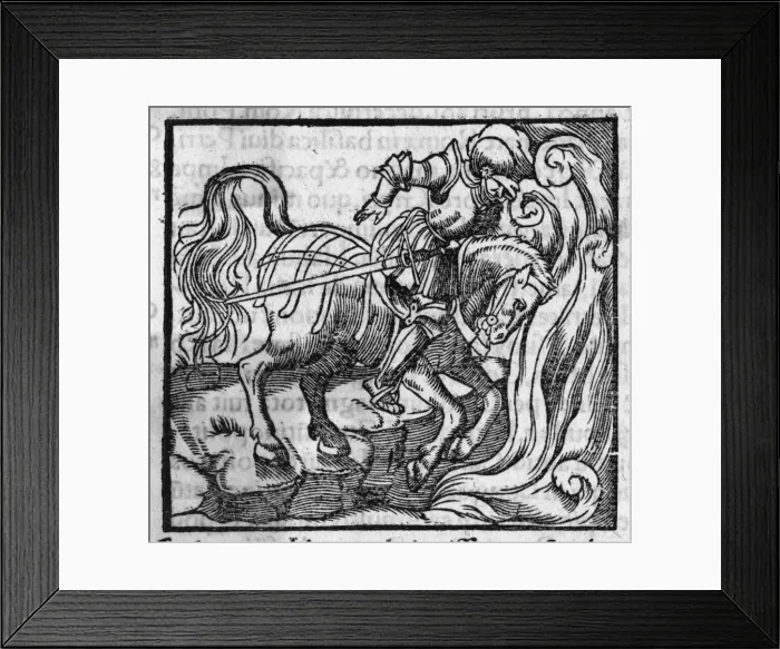 Framed Print : Marcus Curtius - 3 Framed Print : Marcus Curtius - 3