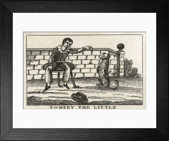 Framed Print : Pompey the Little Framed Print : Pompey the Little
