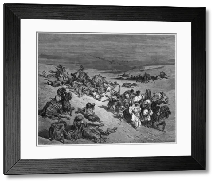 Framed Print : Pestilence in Egypt Framed Print : Pestilence in Egypt