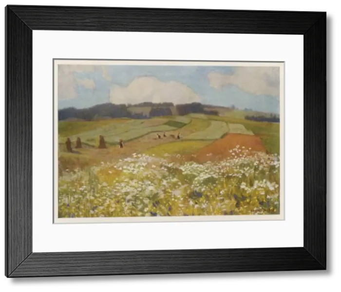 Framed Print : Hungarian Countryside Framed Print : Hungarian Countryside