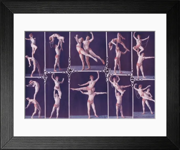 Framed Print : Roserary and Capella in typical dancing poses from a show in Framed Print : Roserary and Capella in typical dancing poses from a show in