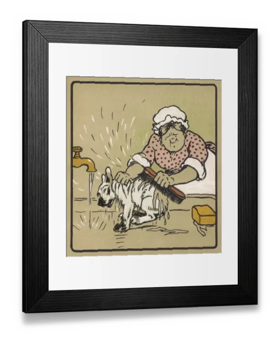 Framed Print : Dog Bath under Cold Tap Framed Print : Dog Bath under Cold Tap