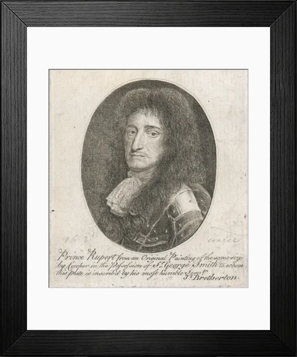 Framed Print : Rupert of the Rhine Framed Print : Rupert of the Rhine