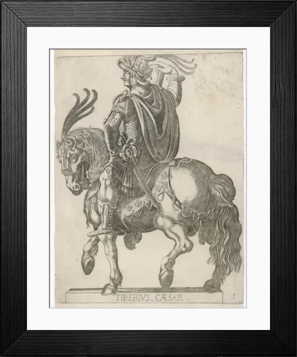 Framed Print : Tiberius Caesar / Horse Framed Print : Tiberius Caesar / Horse
