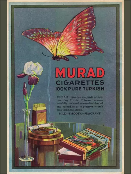 Advert for Murad Turkish cigarettes, 1924