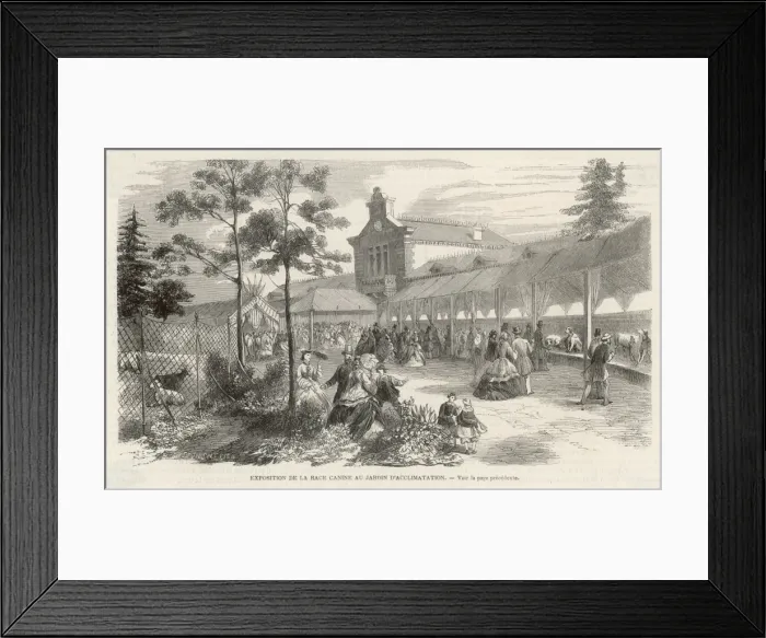 Framed Print : Paris Dog Show Framed Print : Paris Dog Show