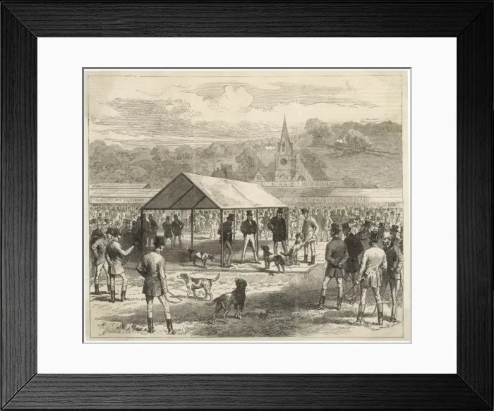 Framed Print : Judging Foxhounds Framed Print : Judging Foxhounds