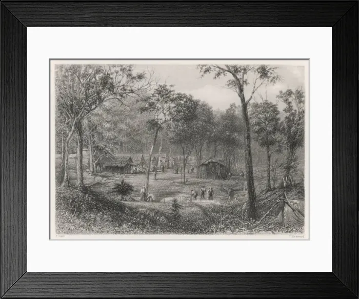 Framed Print : Queensland Gold Rush Framed Print : Queensland Gold Rush