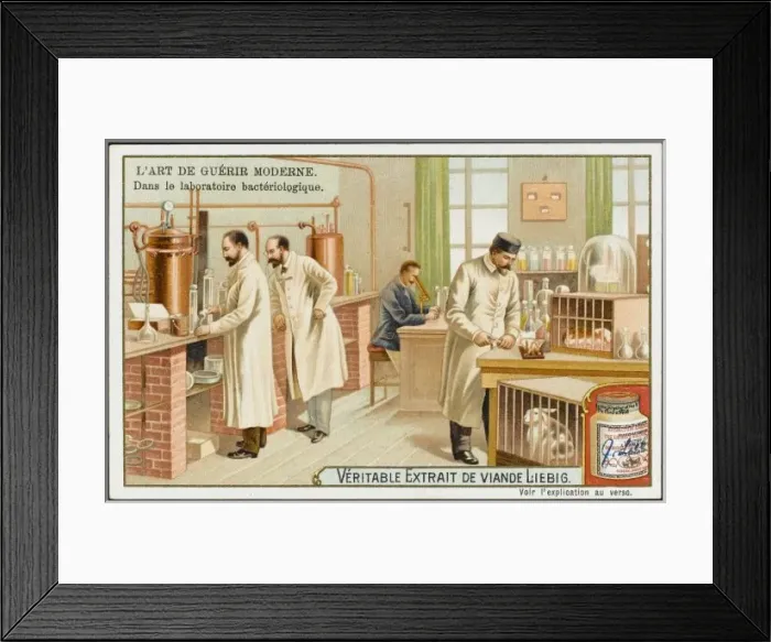 Framed Print : Testing on Animals Framed Print : Testing on Animals