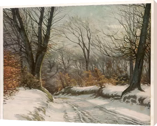Country Road in Snow