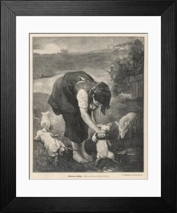 Framed Print : Pigs Bathday Framed Print : Pigs Bathday