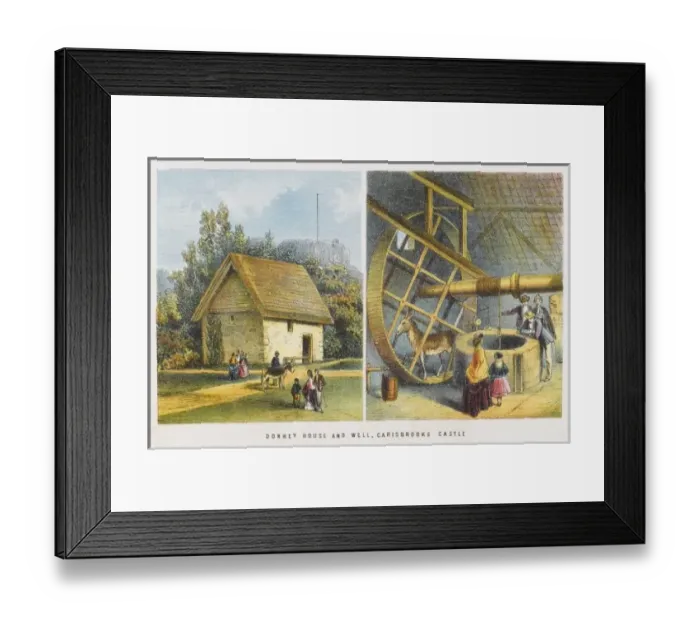 Framed Print : Carisbrook Donkey Framed Print : Carisbrook Donkey
