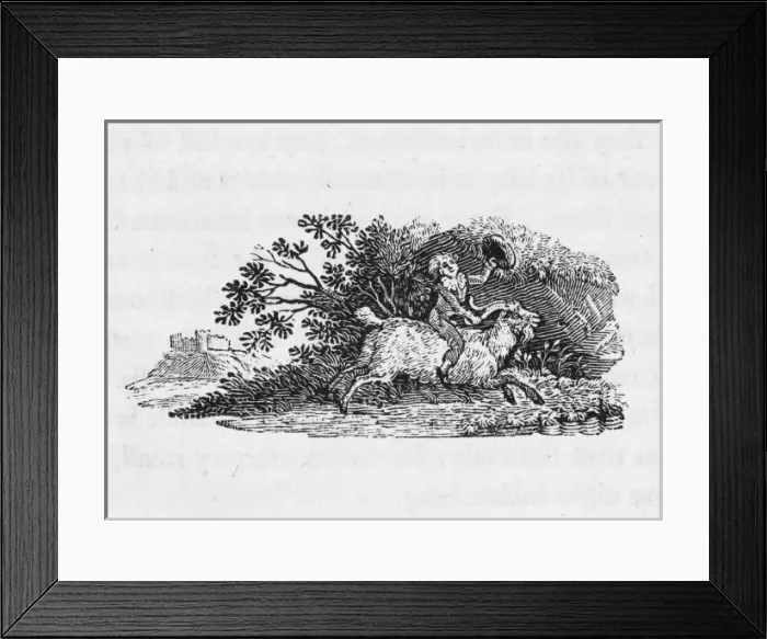 Framed Print : Bewick - Boy & Sheep Framed Print : Bewick - Boy & Sheep