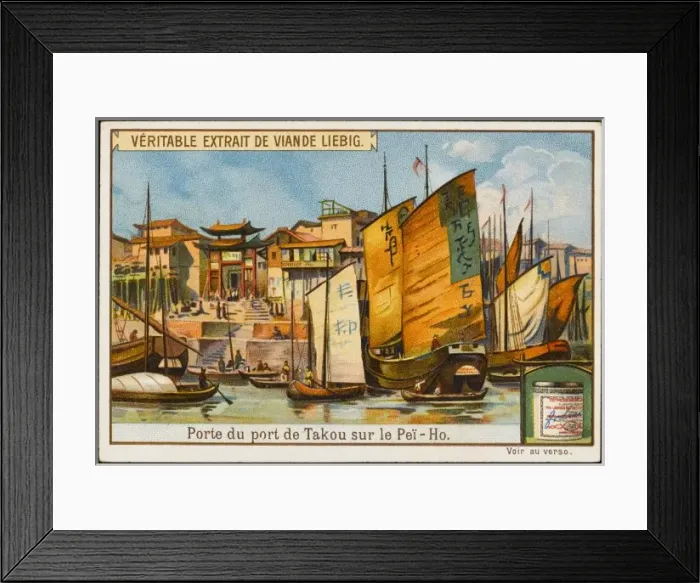 Framed Print : Taku (Liebig) Framed Print : Taku (Liebig)