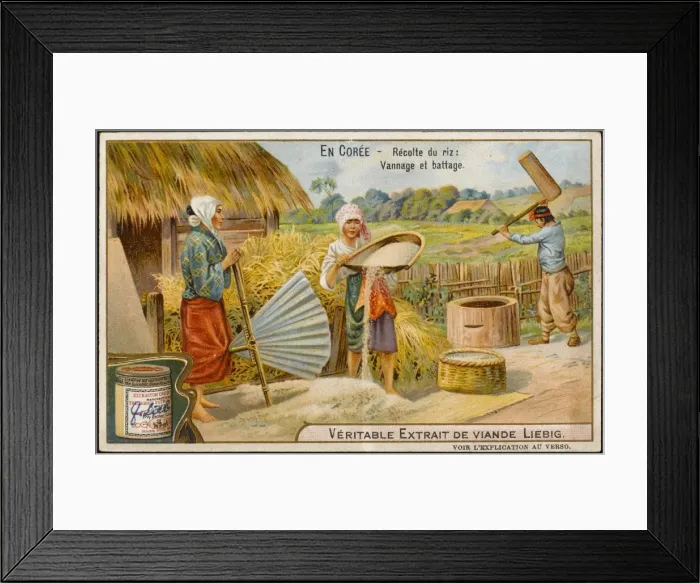Framed Print : Rice in Korea