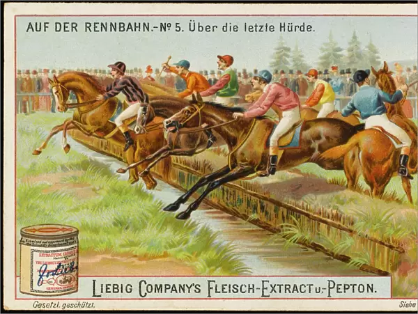 Liebig Horse Racing 5