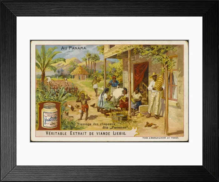 Framed Print : Making Panama Hats Framed Print : Making Panama Hats
