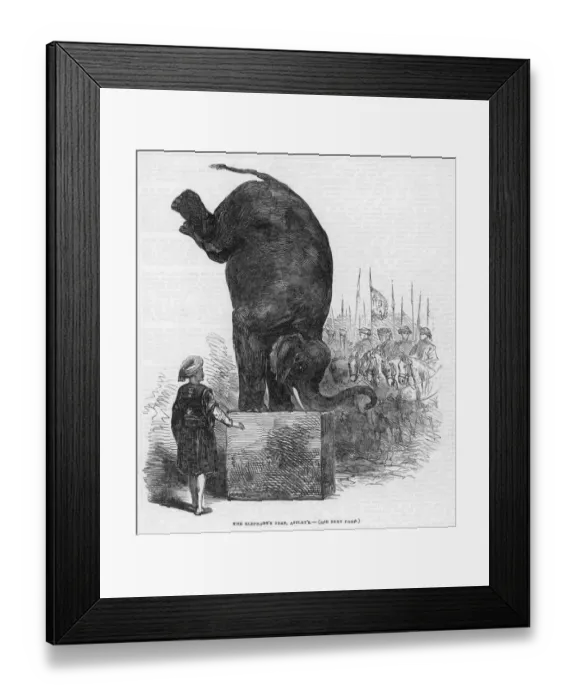 Framed Print : Performing Elephant Framed Print : Performing Elephant