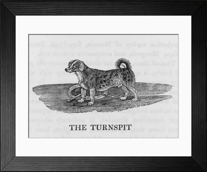 Framed Print : Bewick - Turnspit Framed Print : Bewick - Turnspit