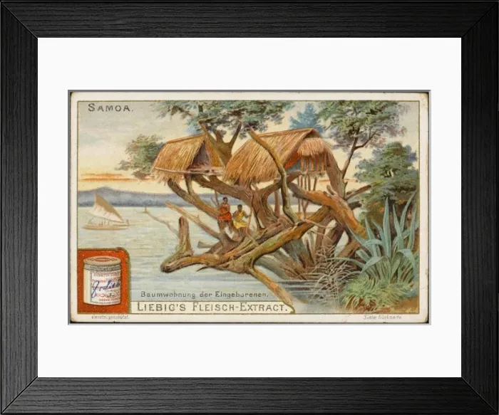 Framed Print : Samoan Tree House Framed Print : Samoan Tree House