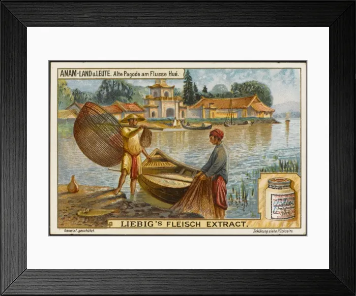 Framed Print : Hue (Liebig) Framed Print : Hue (Liebig)