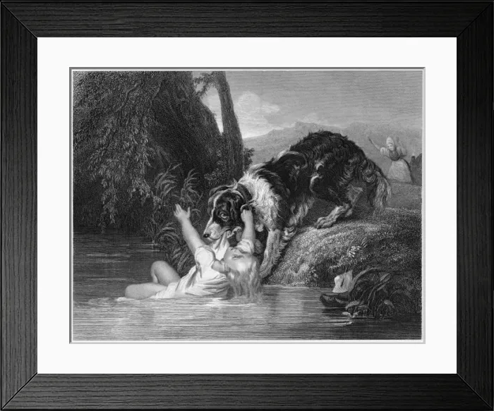Framed Print : Rescued by Newfoundland Framed Print : Rescued by Newfoundland