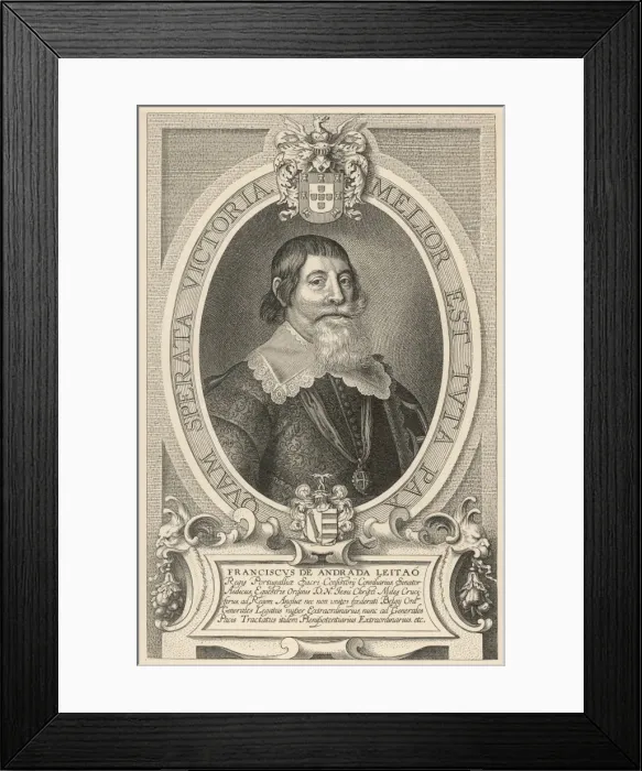 Framed Print : Andrada Leitao Framed Print : Andrada Leitao