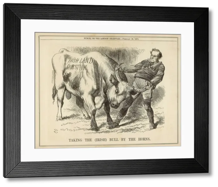 Framed Print : Taking Bull by Horns Framed Print : Taking Bull by Horns