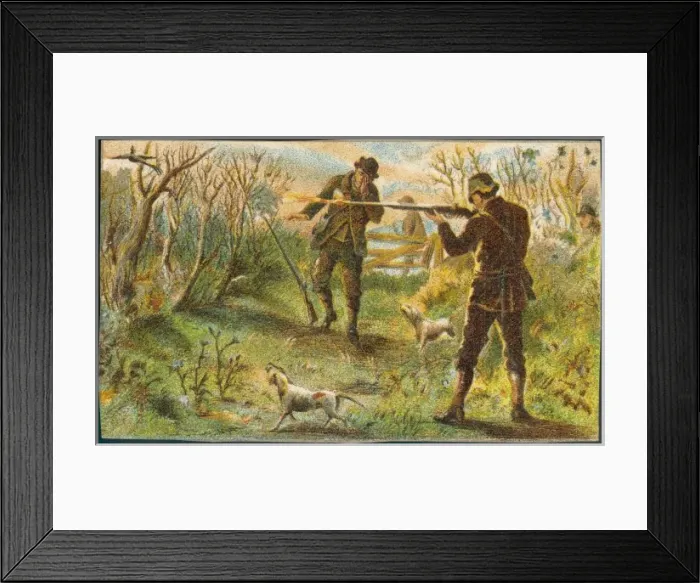 Framed Print : Huntsman Shot Not Bird Framed Print : Huntsman Shot Not Bird