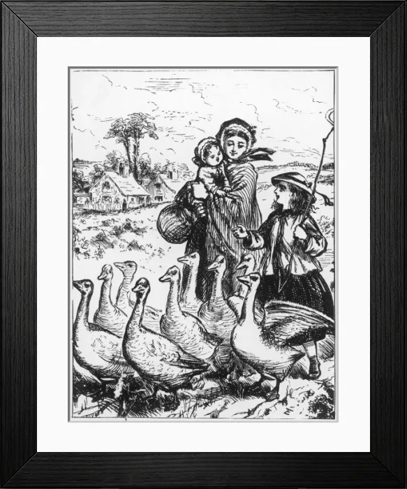 Framed Print : Driving Geese to Fair Framed Print : Driving Geese to Fair