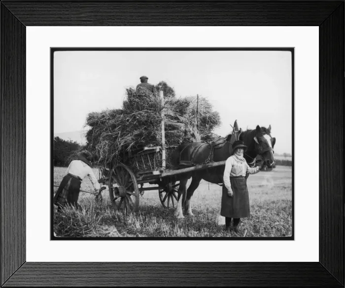 Framed Print : Northumberland Harvest Framed Print : Northumberland Harvest
