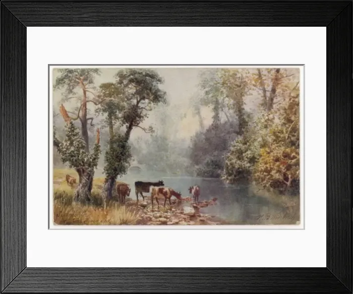 Framed Print : Cows & River Sid Framed Print : Cows & River Sid
