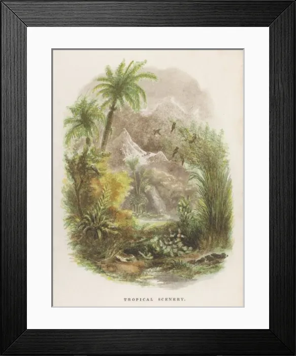 Framed Print : Tropical Scenery 1835 Framed Print : Tropical Scenery 1835