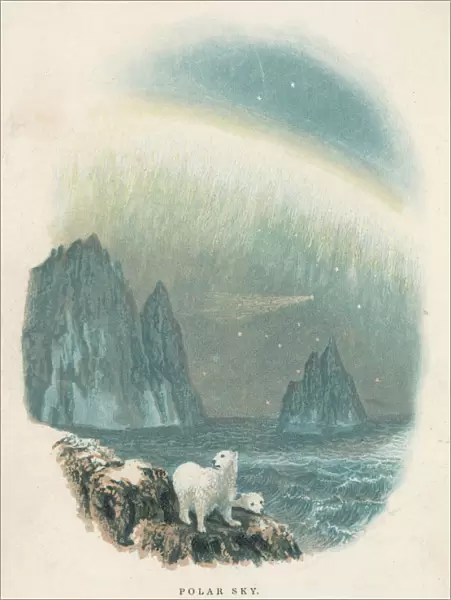Polar Sky with Bears