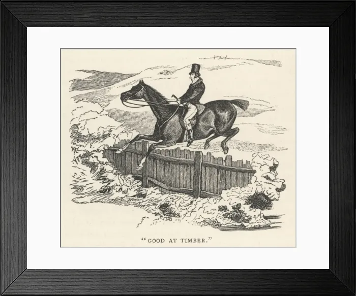 Framed Print : Jumping a Picket Fence Framed Print : Jumping a Picket Fence