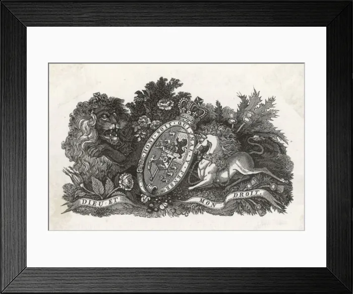 Framed Print : William Ivs Coat Arms Framed Print : William Ivs Coat Arms