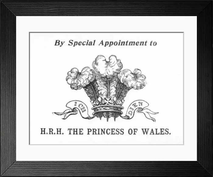 Framed Print : Arms of Pss of Wales Framed Print : Arms of Pss of Wales
