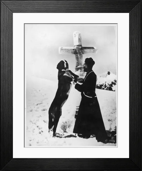 Framed Print : Monk with St. Bernard s Framed Print : Monk with St. Bernard s