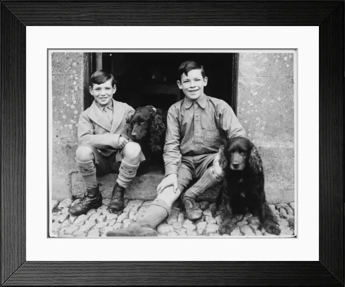 Framed Print : Brothers & Spaniels Framed Print : Brothers & Spaniels