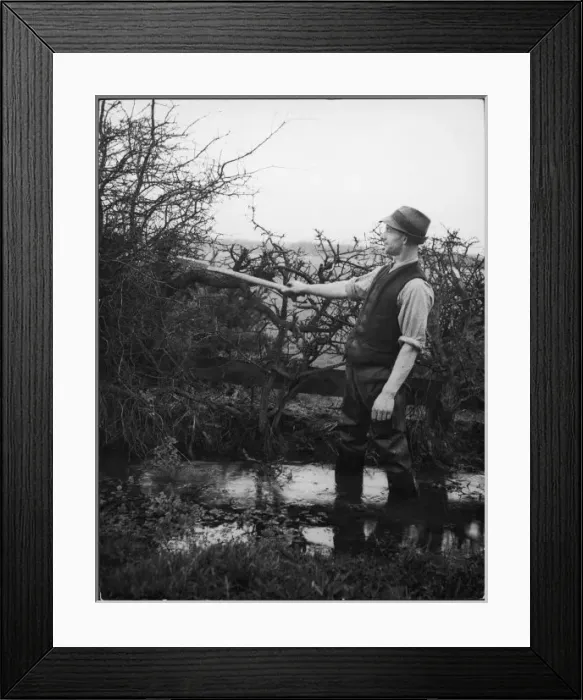 Framed Print : Northumberland Hedger Framed Print : Northumberland Hedger