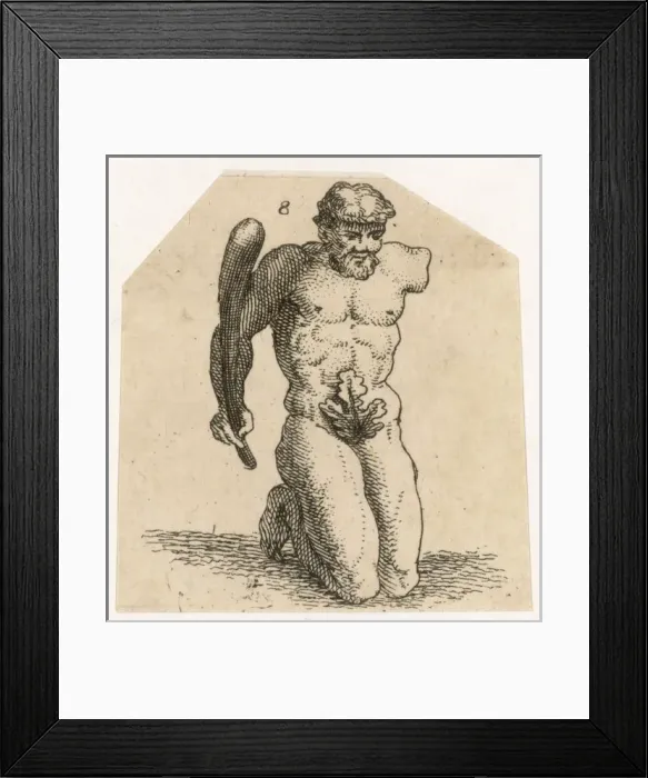 Framed Print : Suggestive Fig Leaves Framed Print : Suggestive Fig Leaves