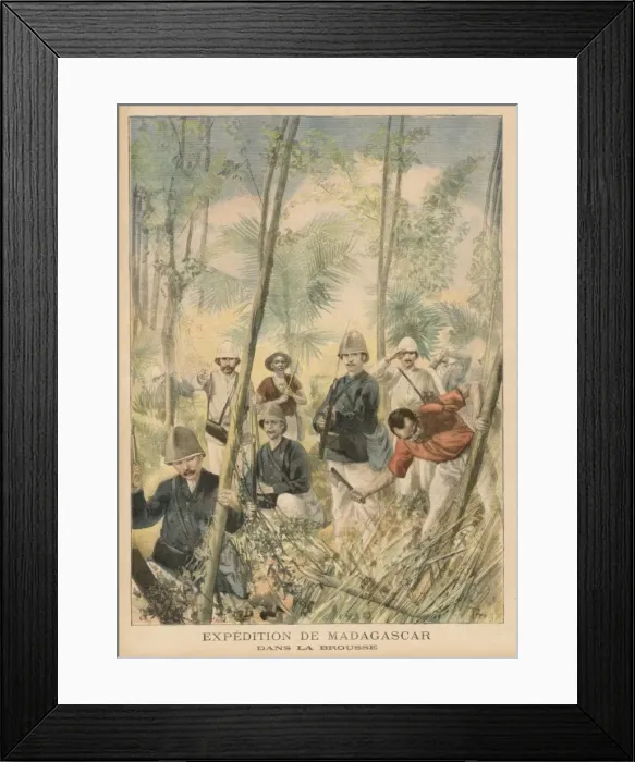 Framed Print : Madagascar Exploration Framed Print : Madagascar Exploration