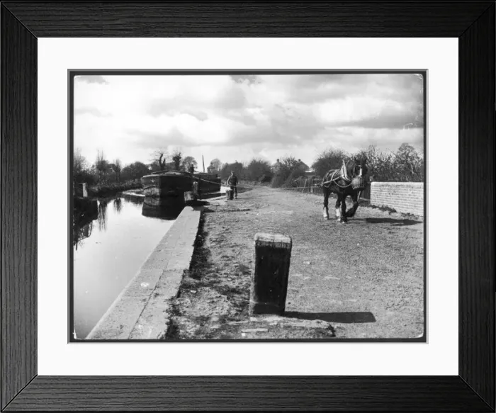 Framed Print : Canal Tow Path & Horse Framed Print : Canal Tow Path & Horse