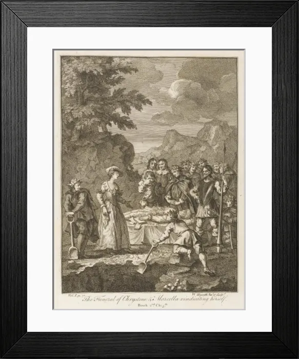 Framed Print : Don Quixote 2 Framed Print : Don Quixote 2