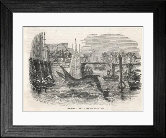 Framed Print : Whaling in Deptford Framed Print : Whaling in Deptford