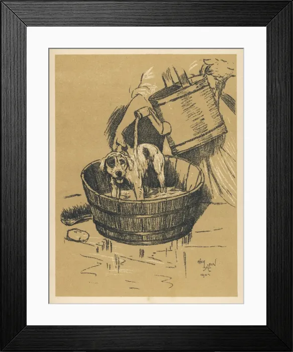 Framed Print : Dog having Bath Aldin Framed Print : Dog having Bath Aldin