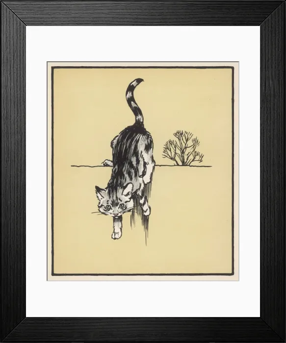 Framed Print : Grey Cat on Wall Aldin Framed Print : Grey Cat on Wall Aldin