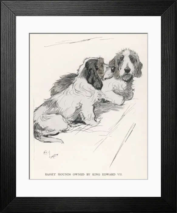Framed Print : Basset Hounds Edward VII Framed Print : Basset Hounds Edward VII